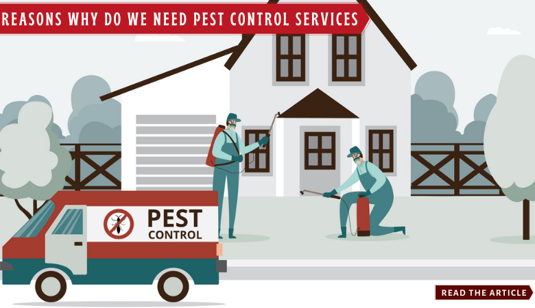 Reasons Why Do We Need Pest Control Services