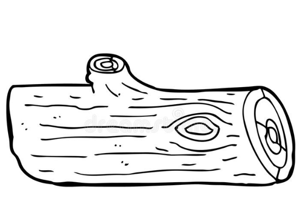 How to draw Wood Log Step by Step