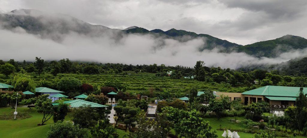 jim corbett jungle