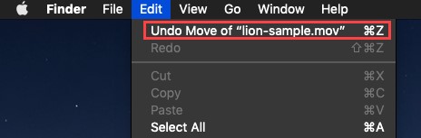 Undo Move