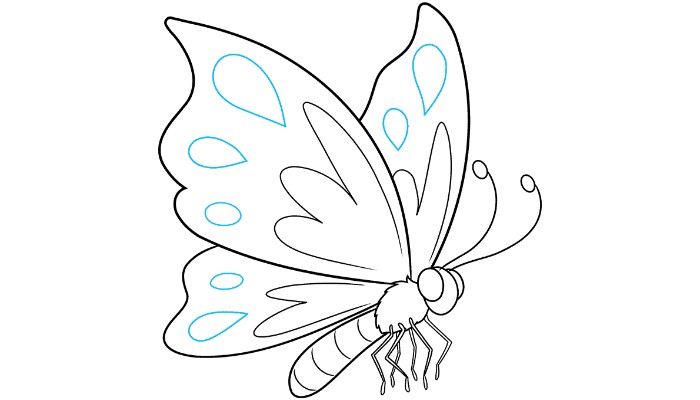 How to Draw a Cartoon Butterfly