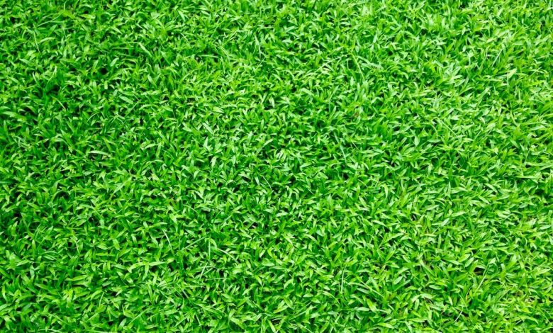 artificial grass in las vegas