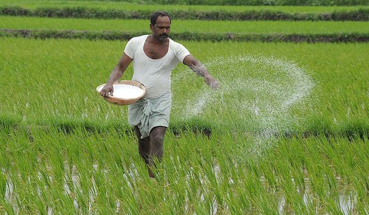 Rainy Season Crops Grown in India and Their Benefits