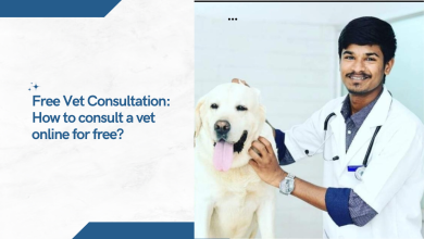 Free Vet Consultation How to consult a vet online for free