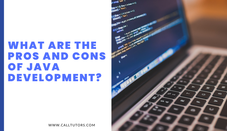 What are the Pros and cons of Java development
