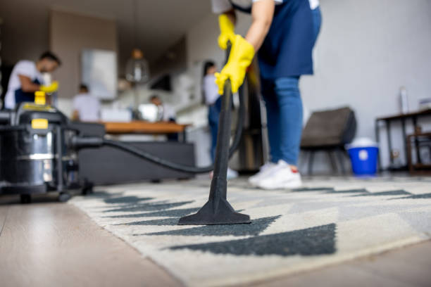 The best carpet cleaning guy in the riverside CA knows how to maintain the carpet without causing it any damage