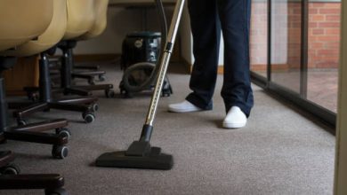 best upholstery carpet cleaning guy
