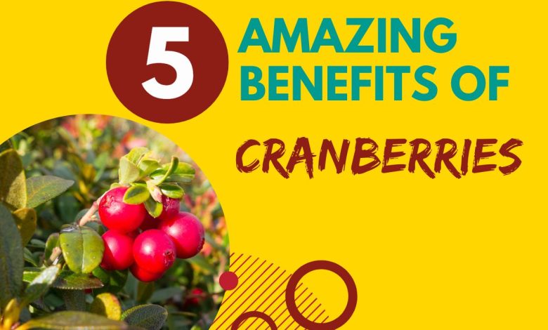benefits of cranberries image