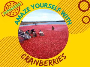 cranberries images