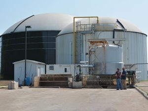 Anaerobic Digester System